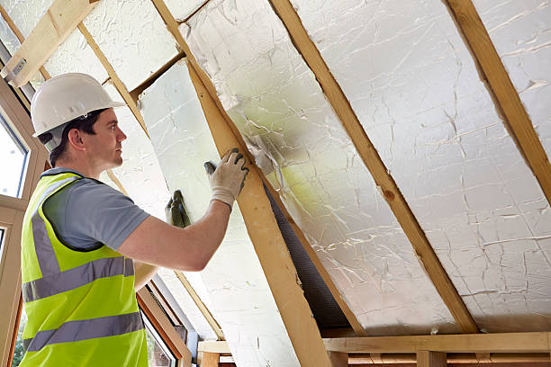 Best Geographic-Specific Insulation Services in Tonto Basin, AZ